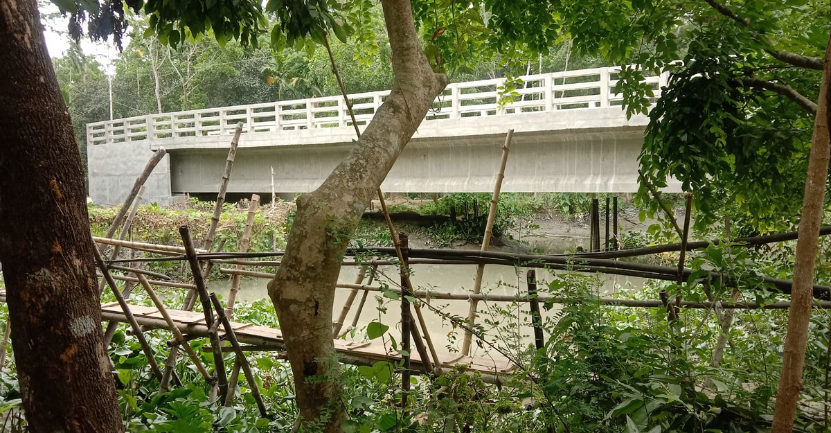 কাজে আসছে না আড়াই কোটি টাকায় নির্মিত সেতু