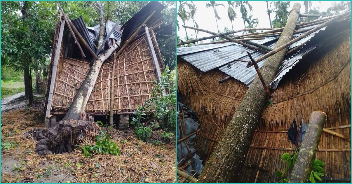 ঠাকুরগাঁওয়ের কালবৈশাখীর তাণ্ডবে ফসলের ব্যাপক ক্ষতি