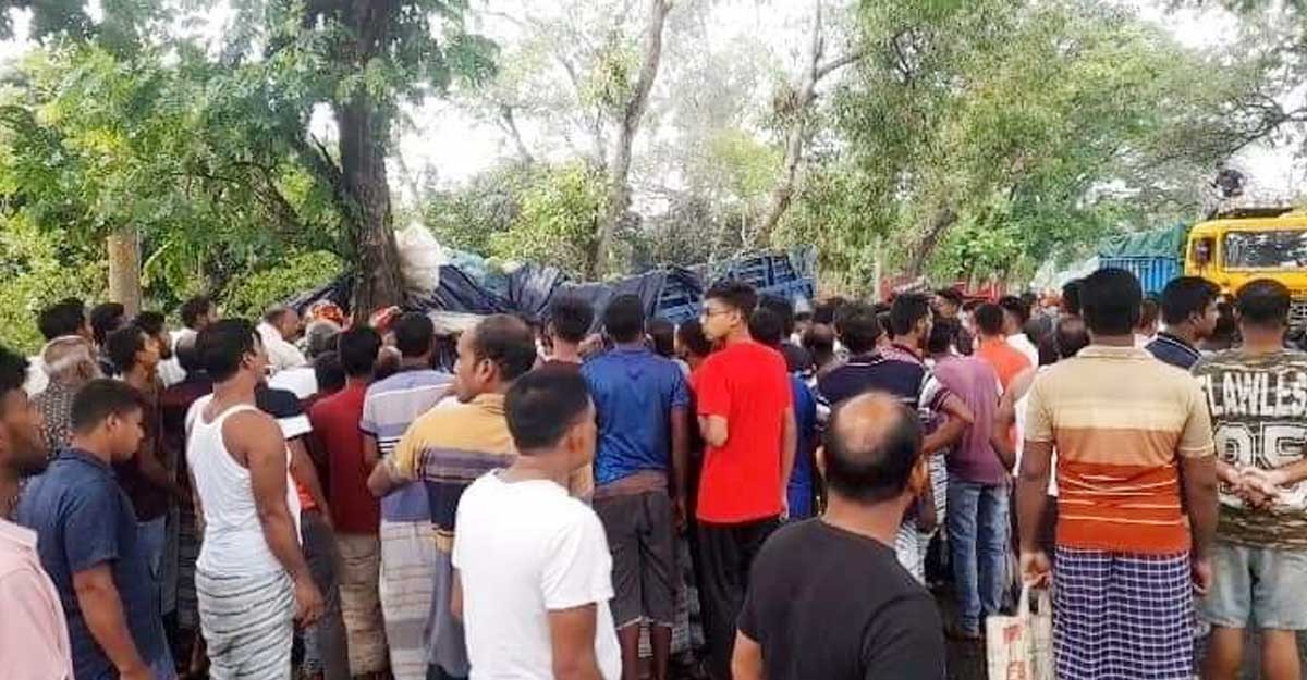 গাছের সঙ্গে ট্রাকের ধাক্কায় নিহত ২