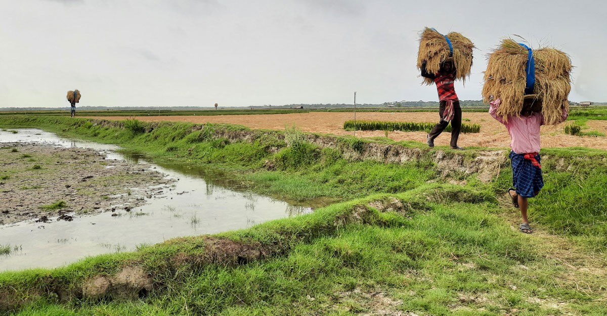বাগেরহাটে সরকারি খাল দখলে দুর্ভোগে কৃষক